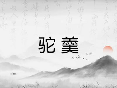 驼羹